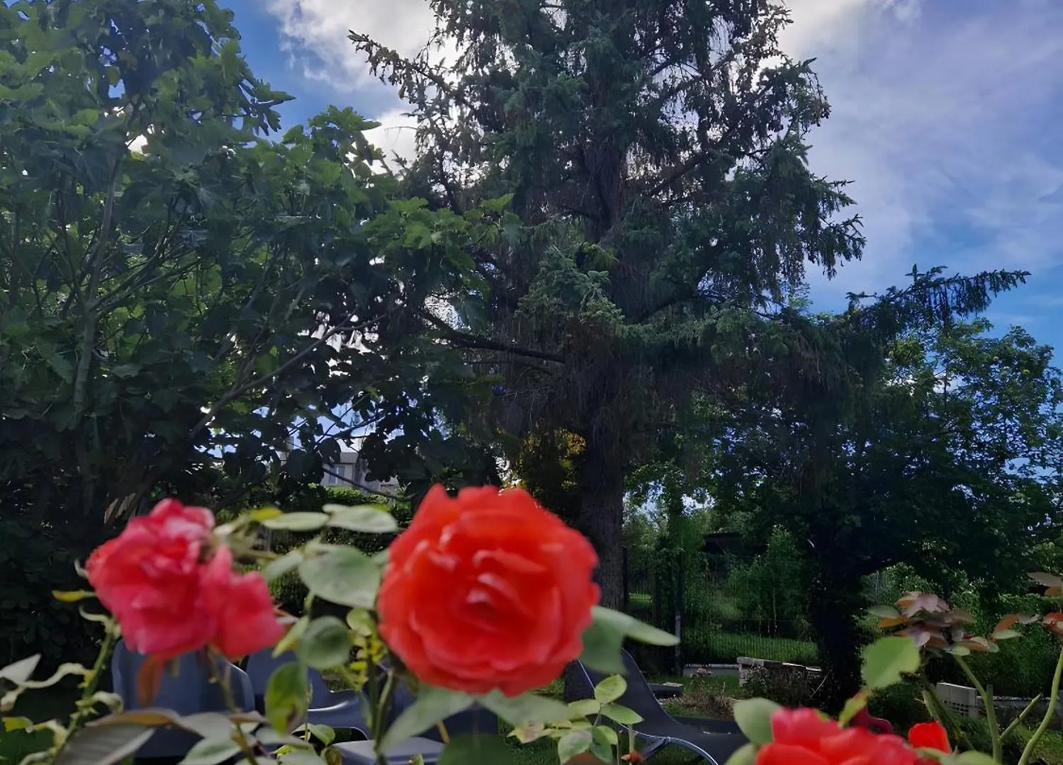 Au Mont D'En Face - Les Hortensias Roz-sur-Couesnon 0*,